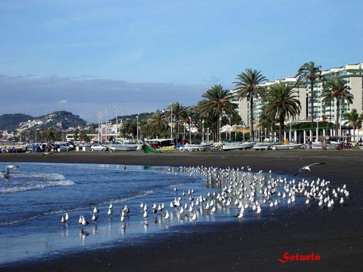 Apartamento Solymar Малага Экстерьер фото